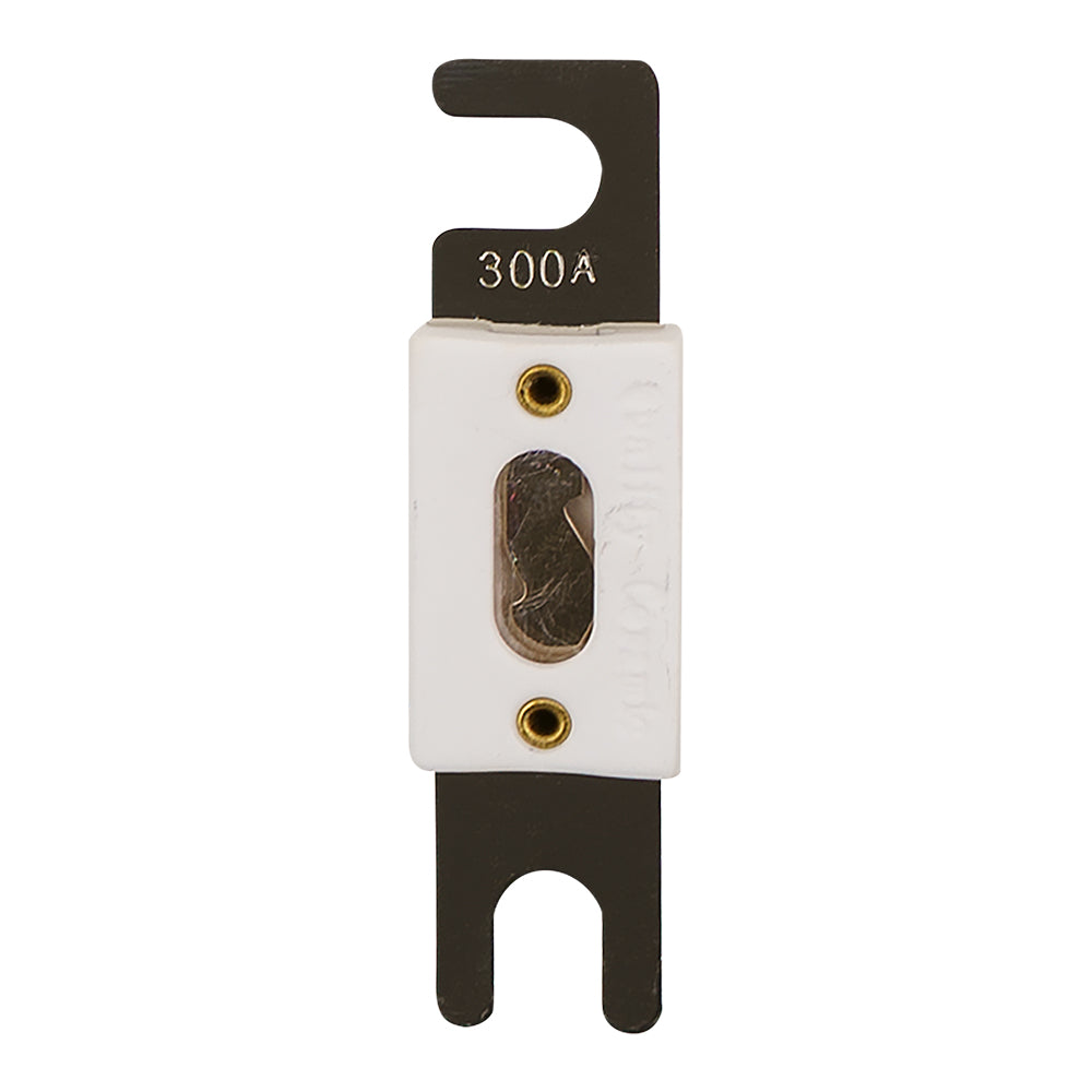 Ceramic ANL Fuse, 300A